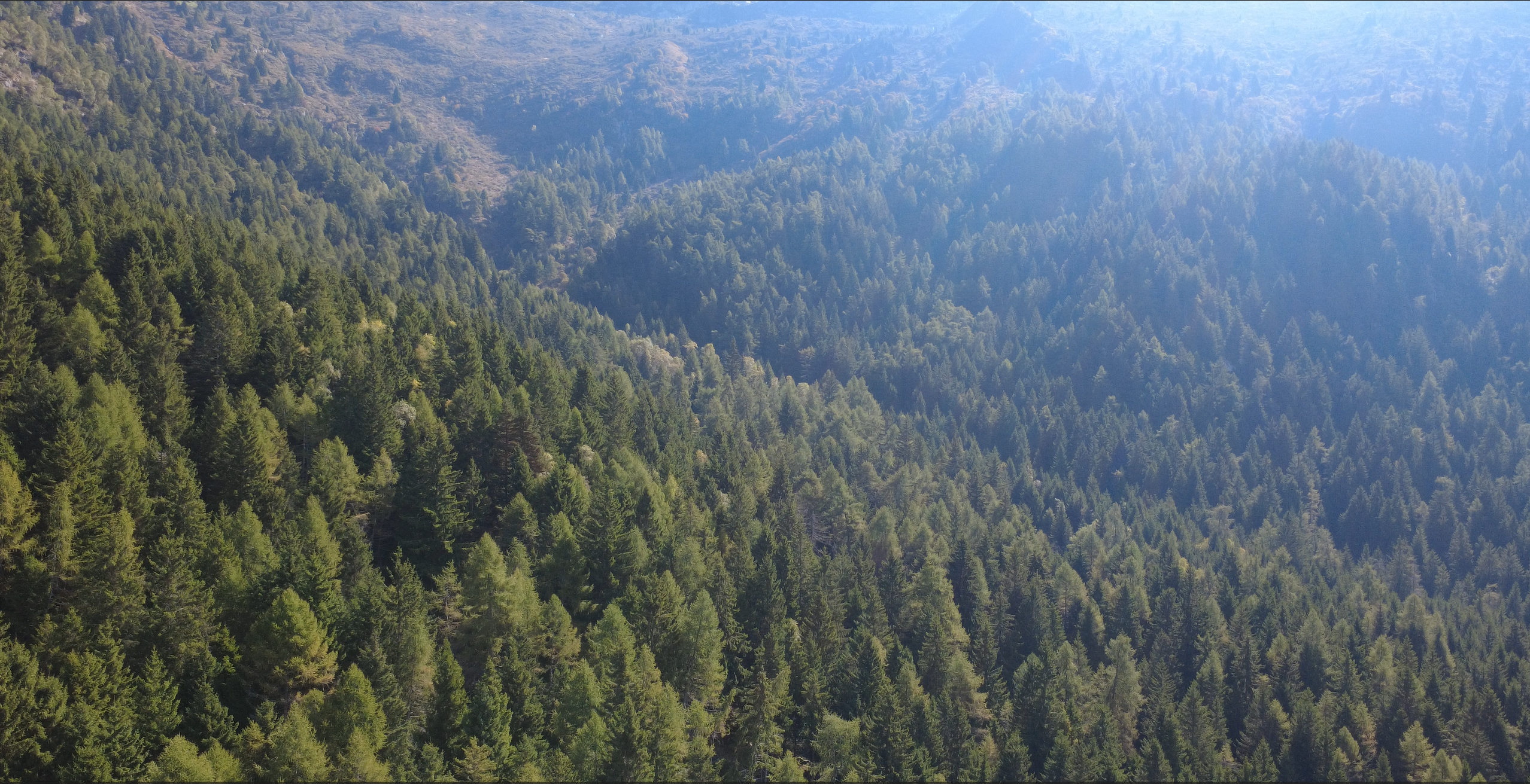 Drone Showreel - Infinity Forest in the Dolomites